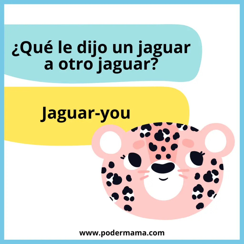 Que le dijo un jaguar a otro
